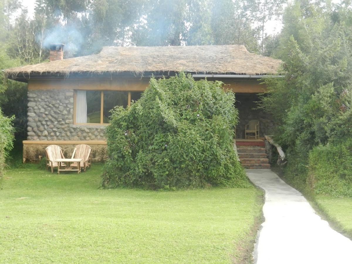 Mountain Gorilla View Lodge Musanze Eksteriør billede