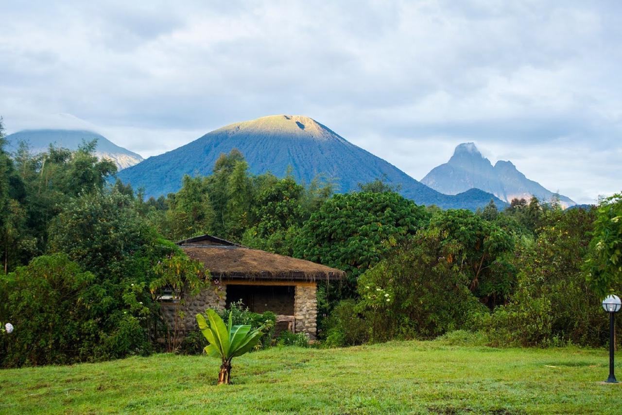 Mountain Gorilla View Lodge Musanze Værelse billede